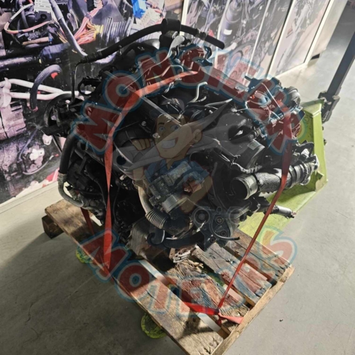 D4HB 1