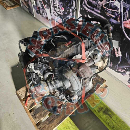 D4HB 2