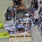 T1DB 2