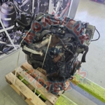 T1DB 3
