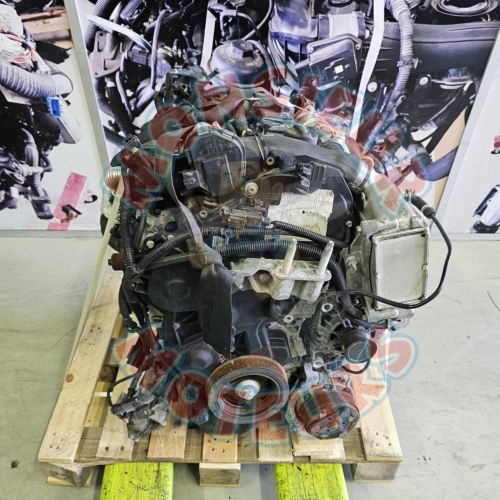 Motor Ford Focus 1.6 TDCI referência T1DA/T1DB