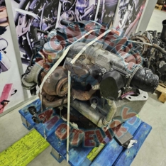 Volkswagen Polo 1.4 TDI Motor  from 2007, 80 hp, ref BMS