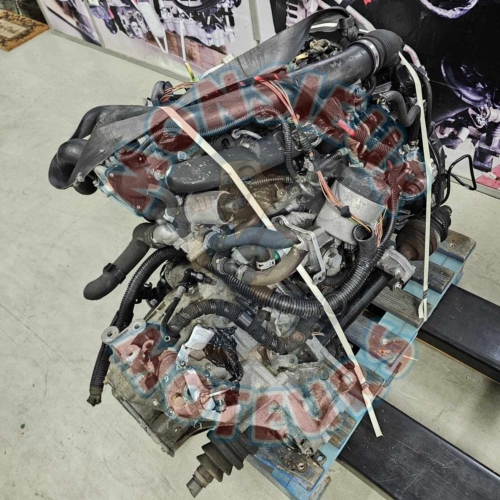 Z17DTH 1
