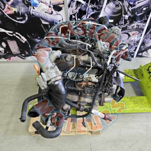 Audi Q7 3.0 TDI Motor  BUG reference