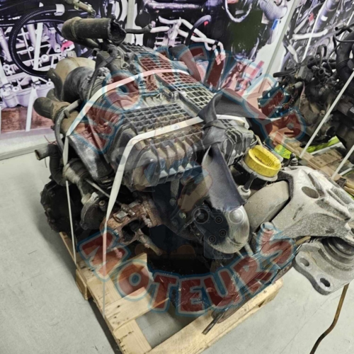 k9k 704 2