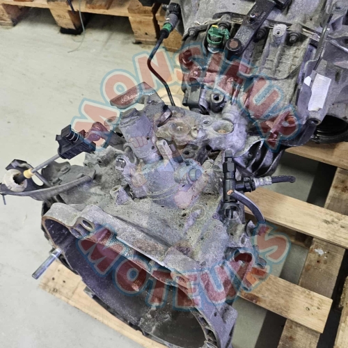 55193621 1 55193621 1