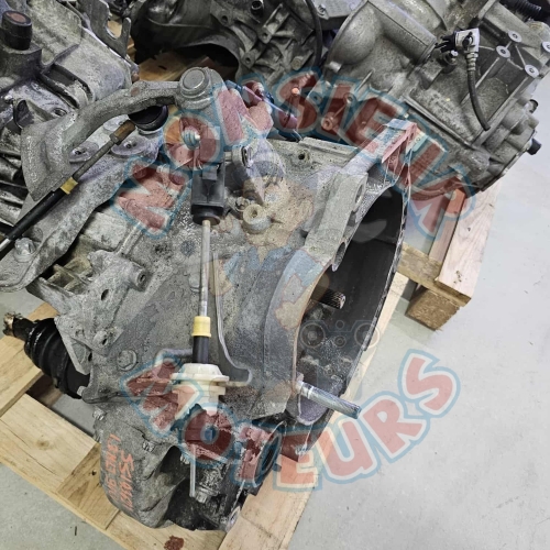 55193621 2 55193621 2