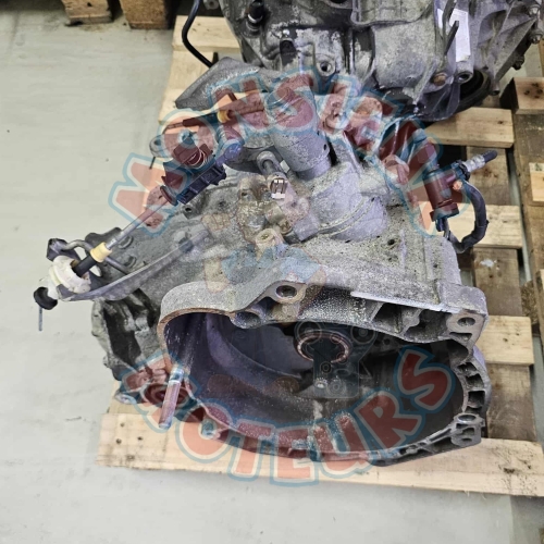 55193621 3 55193621 3